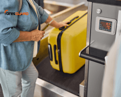 ¿Cuál es la política de equipaje de Spirit Airlines?